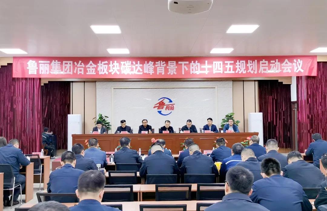 范鐵軍院長帶隊參加魯麗集團冶金板塊碳達峰背景下的“十四五”規(guī)劃啟動會議